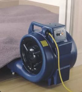 floor-and-carpet-dryer
